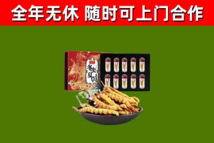 钟山县回收冬虫夏草价格